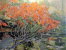 Kenneth Flitton - Sumac Spray