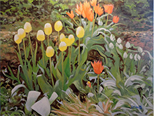 Kenneth Flitton - Tulip Garden