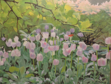 Tulips of the Tuileries Paris